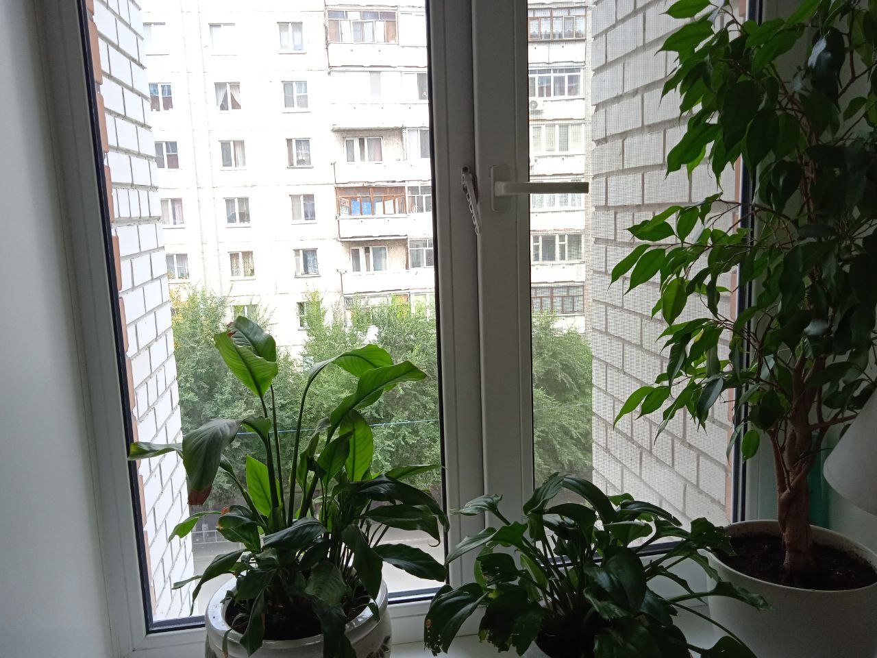 https://kolpino.delaem-okna.ru/storage/app/uploads/public/63f/332/8c0/63f3328c0d6f7867060515.jpg